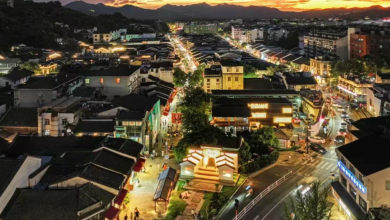 Streamlining Government Services: A New Era of Efficiency