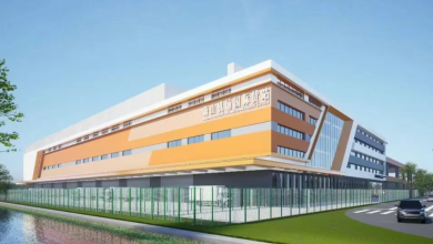 Breaking News! Smart Logistics Project in Lingang Enters New Phase with Early Completion