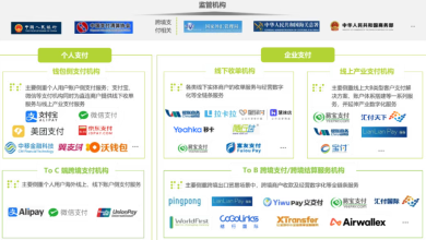 Hangzhou's Dominance in the Cross-Border Payment Industry